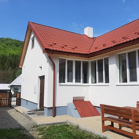 Babickin Dom Villa Medzilaborce Eksteriør billede